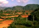 20051217233246-vinales1.jpg