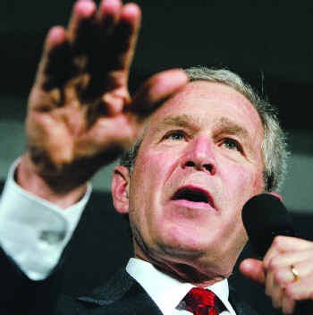 20070122024114-hail-bush.jpg