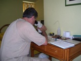 20070703040704-moluscos.jpg
