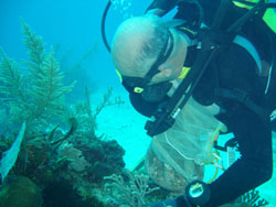 20080220010249-moluscos.jpg